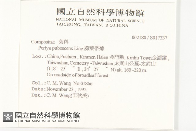 腺葉帚菊藏品圖，第2張