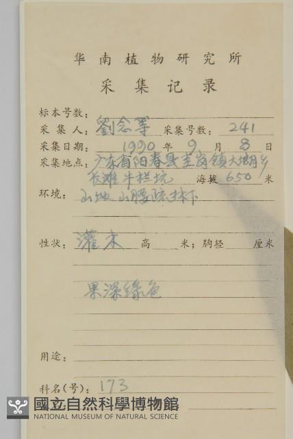 木犀假衛矛藏品圖，第2張