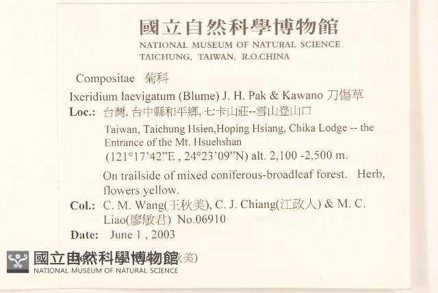 刀傷草藏品圖，第2張