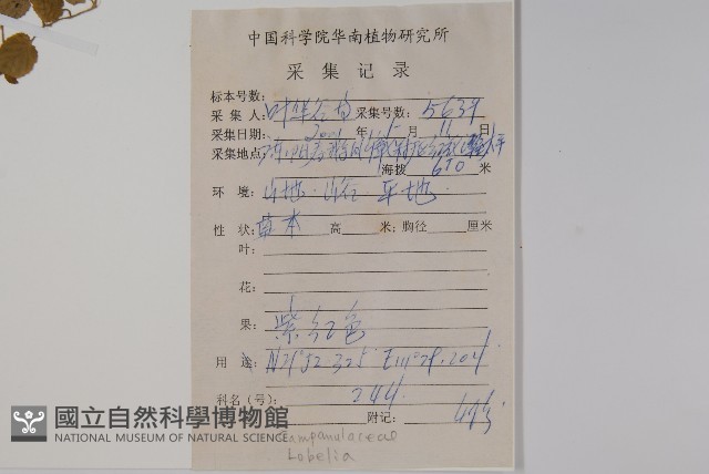 登錄號:S102937藏品圖，第2張