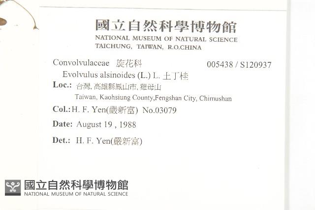 土丁桂藏品圖，第2張