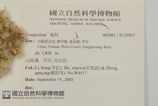 登錄號:S135937藏品圖，第2張