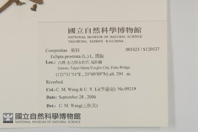 鱧腸藏品圖，第2張