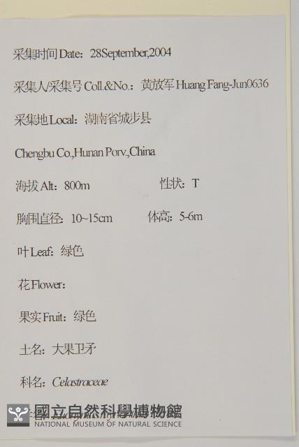 Accession Number:S111537 Collection Image, Figure 2, Total 2 Figures