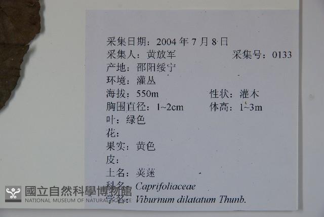 莢迷藏品圖，第2張