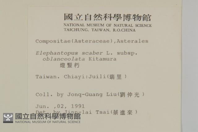 燈豎朽藏品圖，第2張