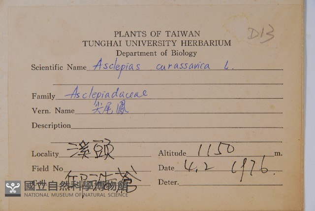 尖尾鳳、馬利筋藏品圖，第2張