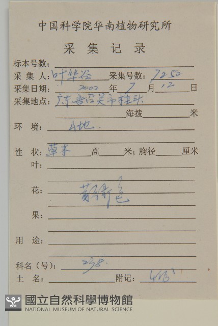 豬草、瘤果菊藏品圖，第2張