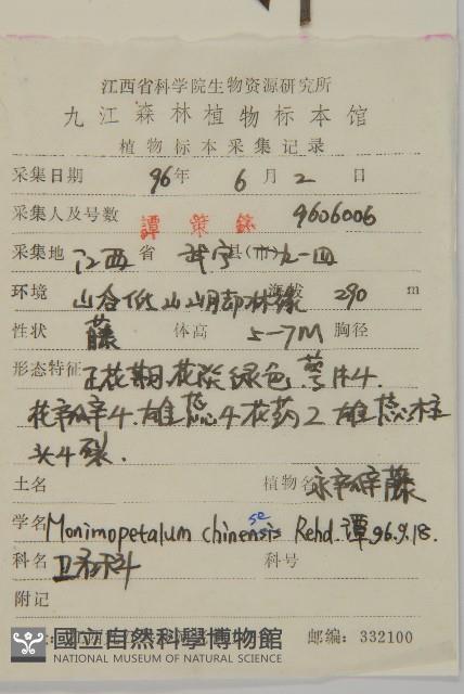 永瓣藤藏品圖，第2張