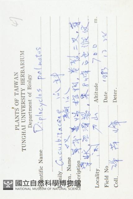 雙輪瓜藏品圖，第2張