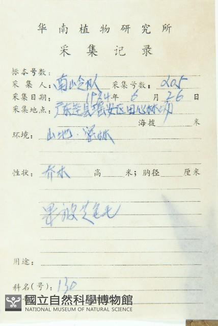 薄果猴歡喜藏品圖，第2張