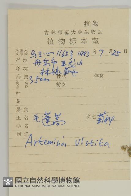 毛蓬蒿藏品圖，第2張