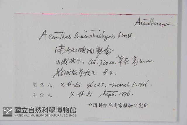 刺苞老鼠勒藏品圖，第2張