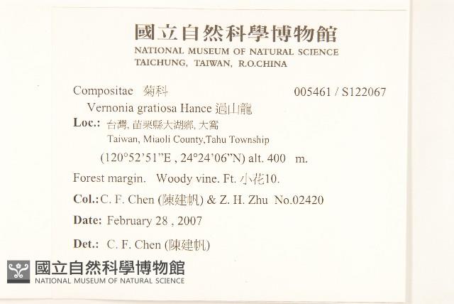 過山龍藏品圖，第2張