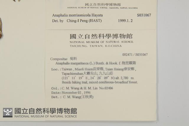 玉山抱莖籟簫藏品圖，第2張