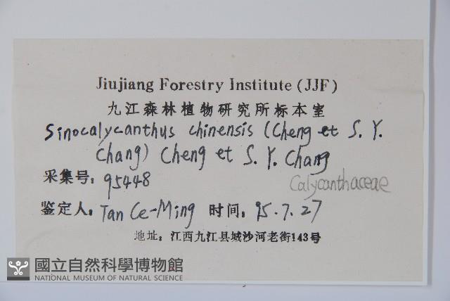 夏蠟梅藏品圖，第2張