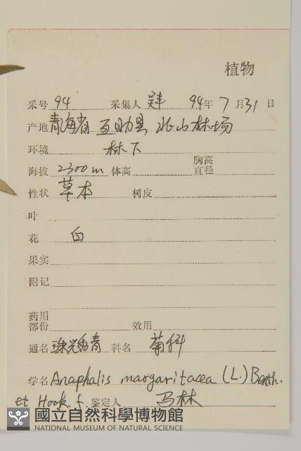 抱莖籟簫藏品圖，第2張