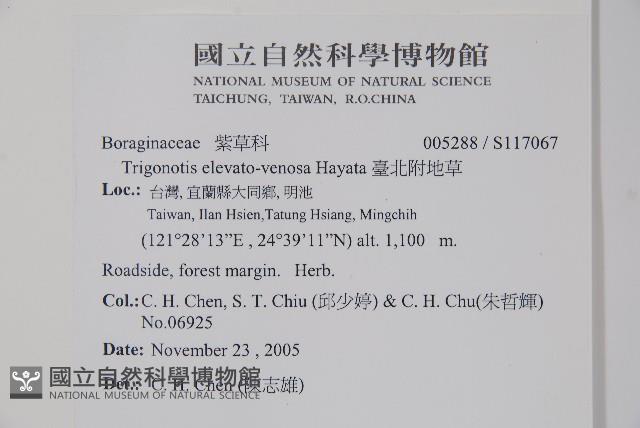 臺北附地草藏品圖，第2張