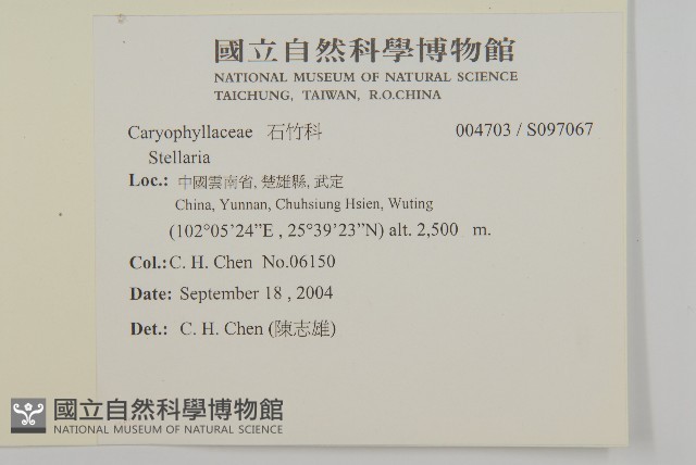 登錄號:S097067藏品圖，第2張