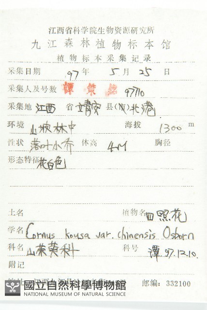 四照花、山荔枝藏品圖，第2張