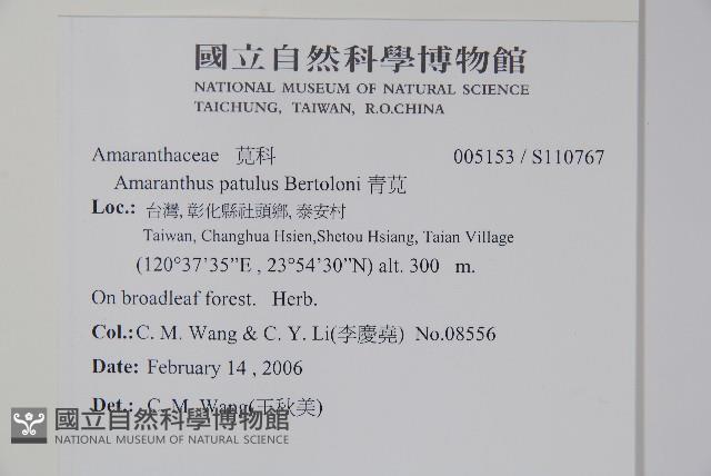 青莧藏品圖，第2張