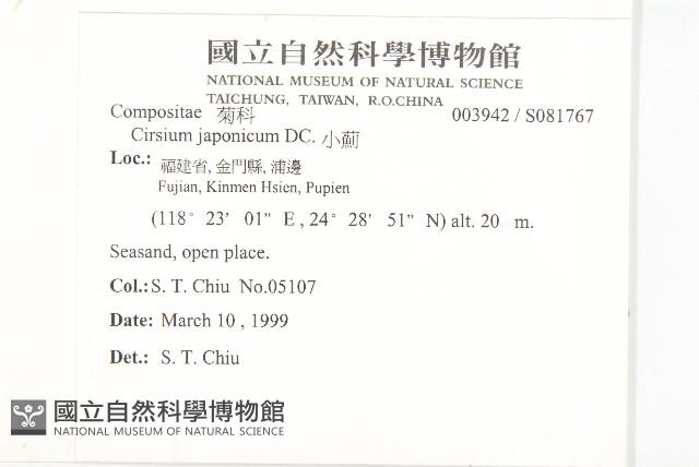 小薊藏品圖，第2張