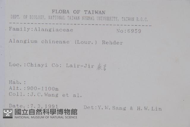 八角楓藏品圖，第2張