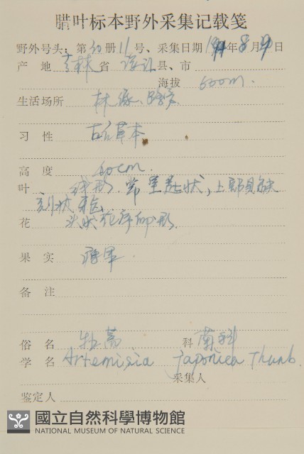 牡蒿藏品圖，第2張