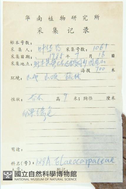 冬桃藏品圖，第2張