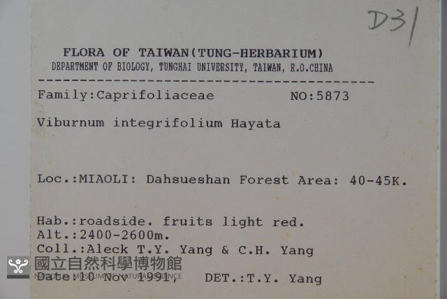 Narrow-leaved Viburnum Collection Image, Figure 2, Total 2 Figures