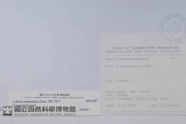 普刺特草藏品圖，第2張