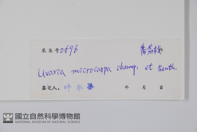 紫玉盤藏品圖，第2張