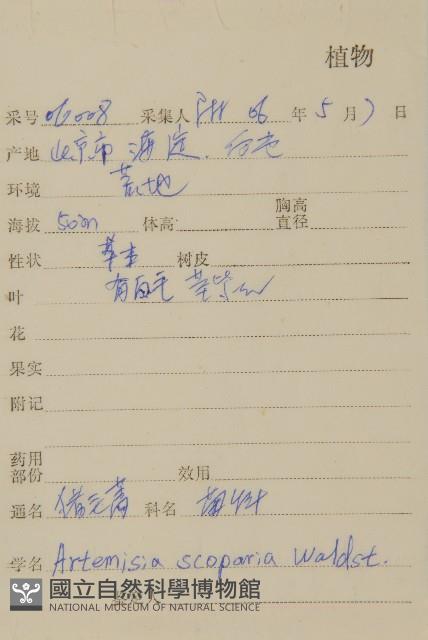 黃蒿藏品圖，第2張