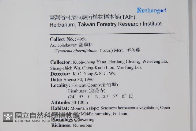 羊角藤、武靴藤藏品圖，第2張