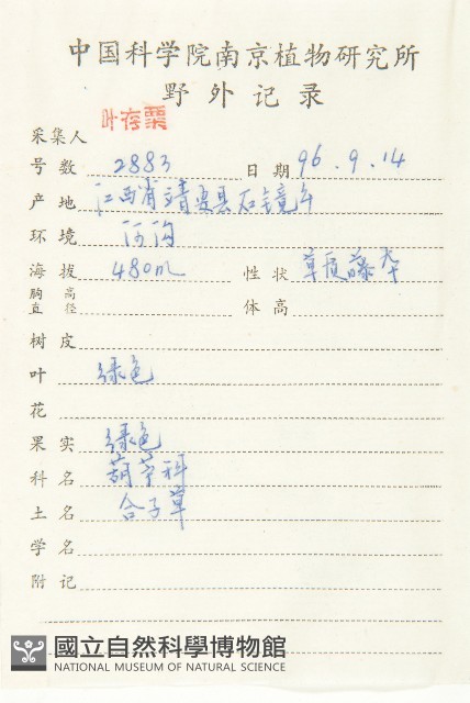 合子草藏品圖，第2張