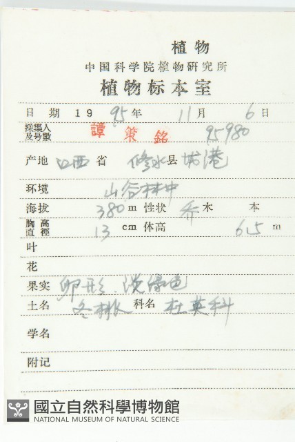 冬桃藏品圖，第2張