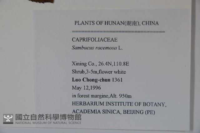 登錄號:S047467藏品圖，第2張