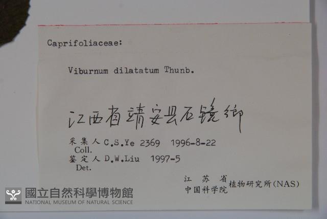 莢迷藏品圖，第2張