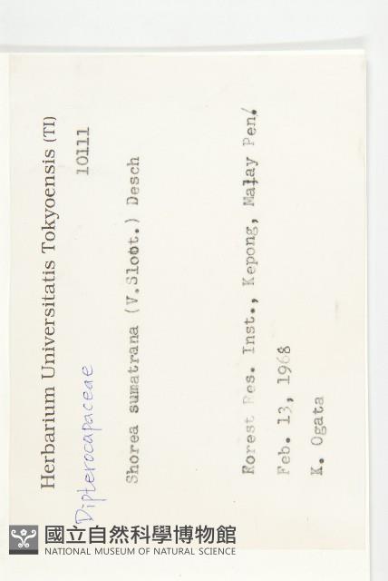 登錄號:S082167藏品圖，第2張