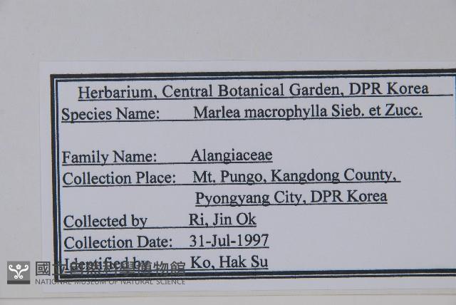 登錄號:S120167藏品圖，第2張