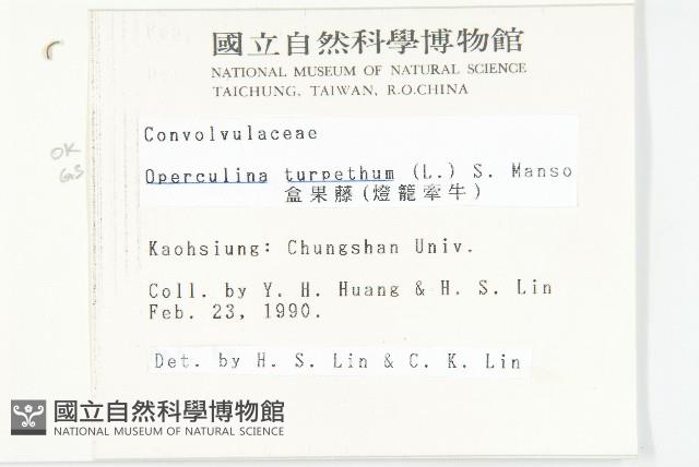 盒果藤藏品圖，第2張