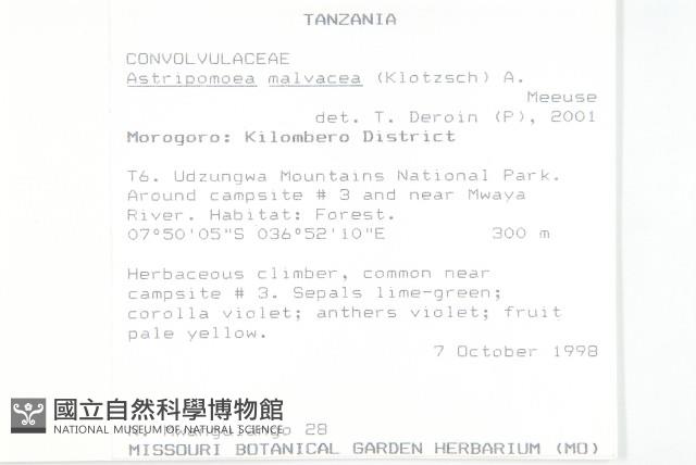 登錄號:S097167藏品圖，第2張