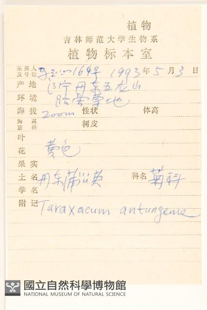 丹東蒲公英藏品圖，第2張