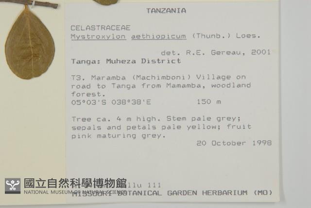 登錄號:S096367藏品圖，第2張