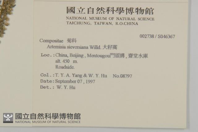 大耔蒿藏品圖，第2張