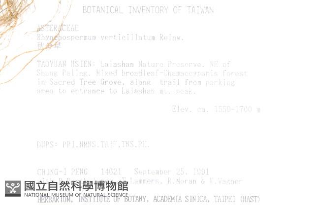 秋分草藏品圖，第2張