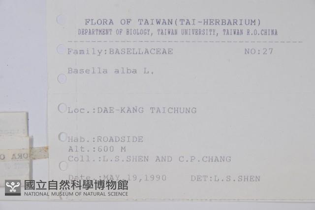 落葵藏品圖，第2張