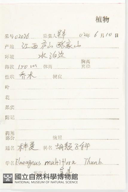 木半夏藏品圖，第2張