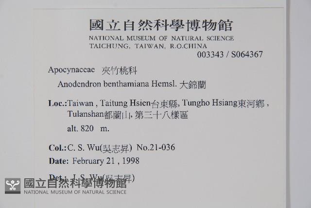 大錦蘭藏品圖，第2張