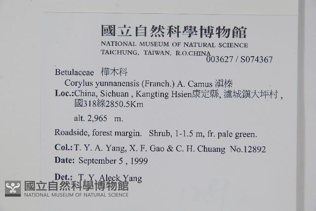 滇榛藏品圖，第2張